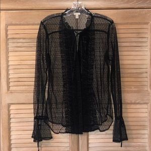 Hinge Sheer & Romantic Button Down Blouse